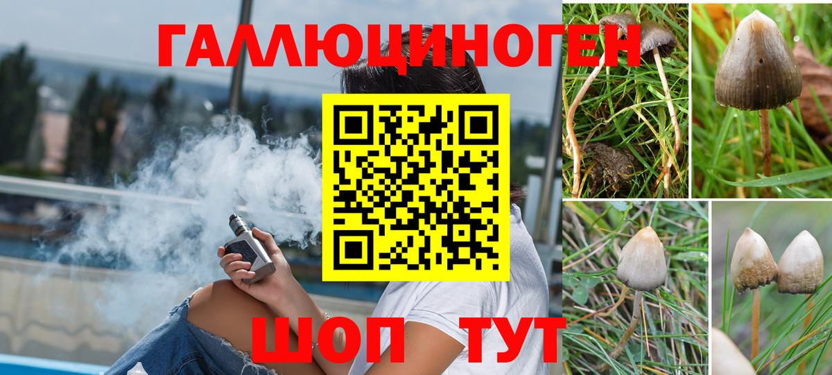 Галлюциногенные грибы Magic Shrooms  Псилоцибиновые грибы ЛСД  Протвино  Вход с VPN 